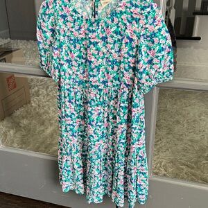 Crewcuts Floral Dress in Blue and Pink